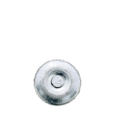 Roofing Cap Nails